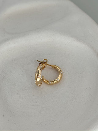 Mini créoles Swan