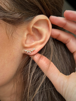 Puces Ana