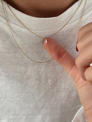 Collier Spencer