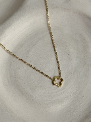 Collier Glowis
