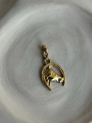 Charms Porte-Bonheur