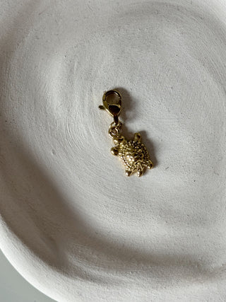 Charms Tortue