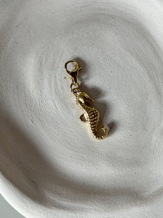 Charms Hippocampe