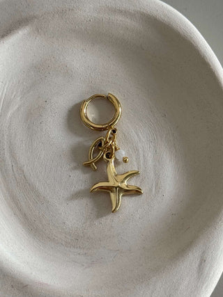 Mono-boucle étoile de mer 2