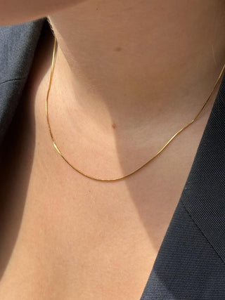 Collier Amatir
