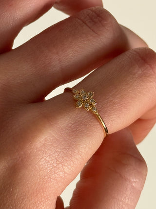 Bague Arizona
