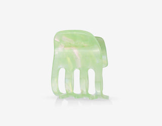 Pince patte menthe