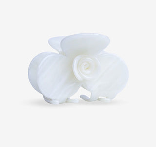 Pince fleur blanche