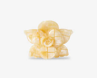 Pince sakura coco